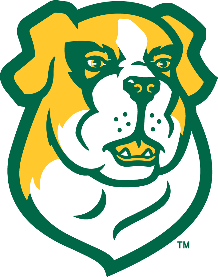 Siena Saints 2023-Pres Secondary Logo v2 diy iron on heat transfer